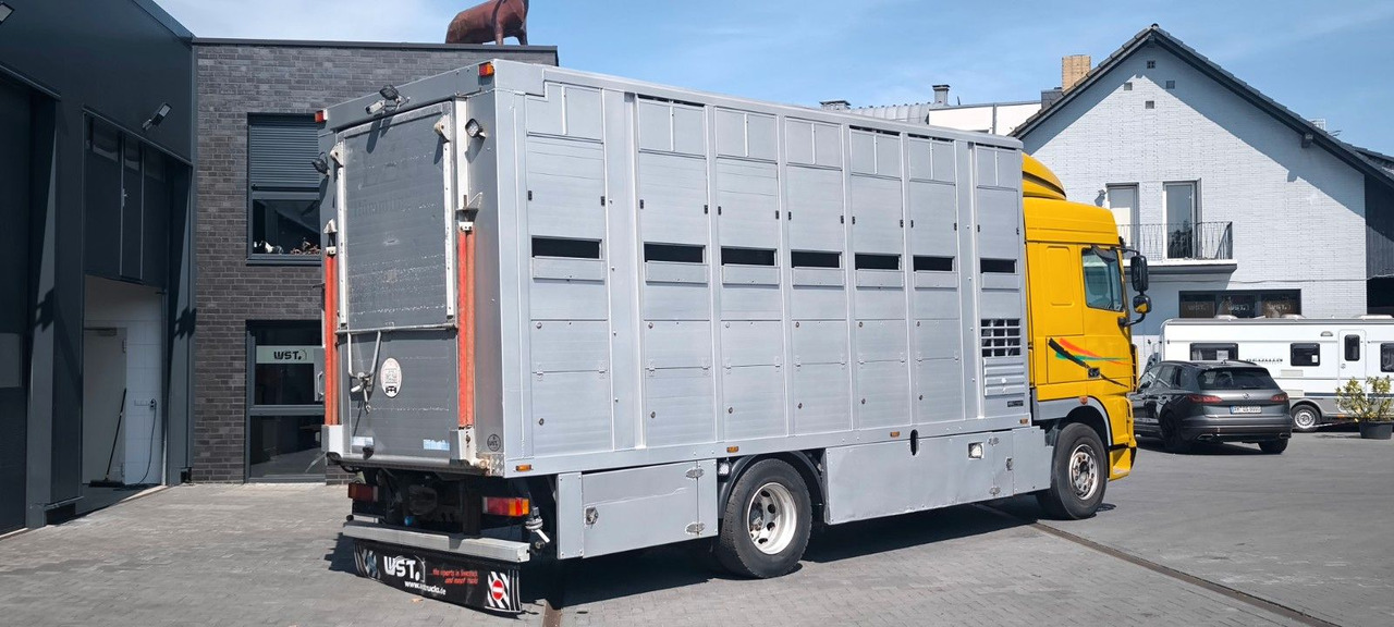 DAF XF 410 SC Menke Doppelstock - Caminhão para transporte de cavalos: foto 3 DAF XF 410 SC Menke Doppelstock - Caminhão para transporte de cavalos: foto 3
