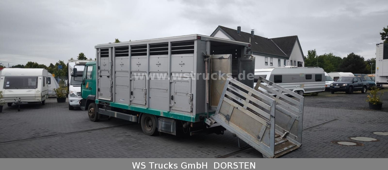 MAN LE 8.220 Menke Einstock Großvieh - Caminhão transporte de gado: foto 3 MAN LE 8.220 Menke Einstock Großvieh - Caminhão transporte de gado: foto 3