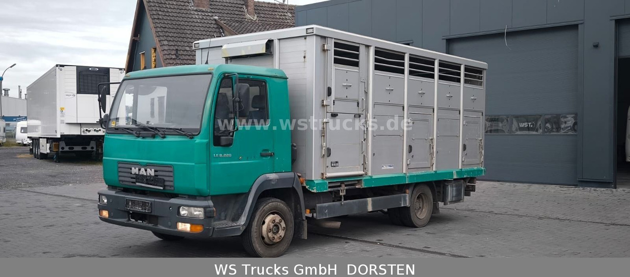 MAN LE 8.220 Menke Einstock Großvieh - Caminhão transporte de gado: foto 1 MAN LE 8.220 Menke Einstock Großvieh - Caminhão transporte de gado: foto 1