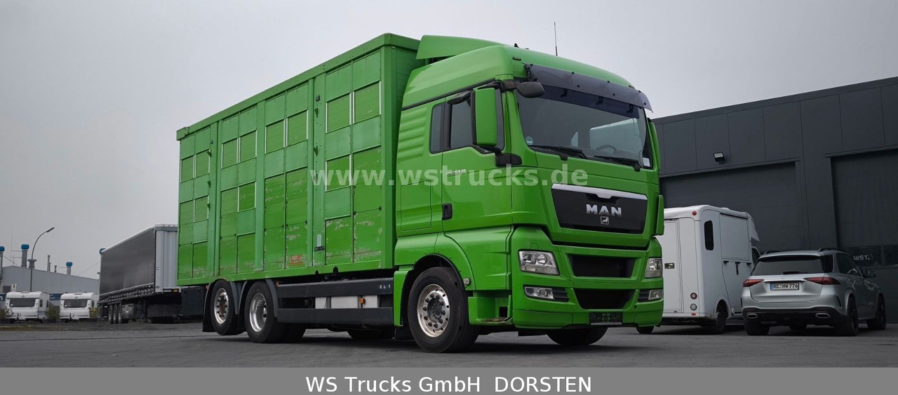 MAN TGX 26.480 XL KABA 3 Stock Viehtransporter - Caminhão para transporte de cavalos: foto 4 MAN TGX 26.480 XL KABA 3 Stock Viehtransporter - Caminhão para transporte de cavalos: foto 4