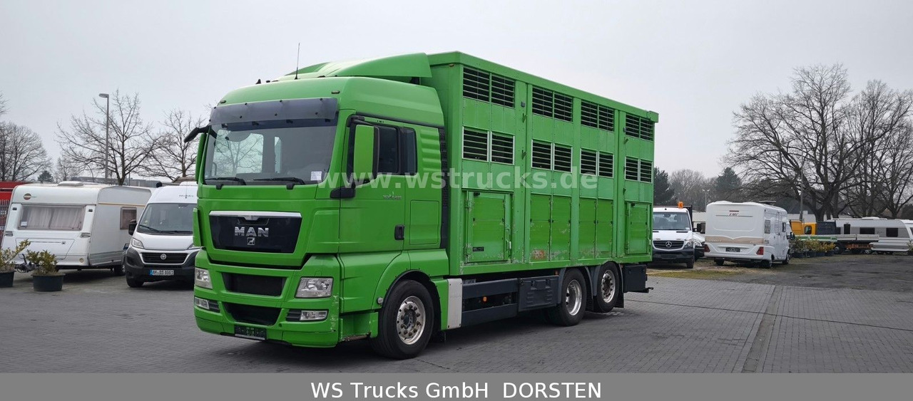 MAN TGX 26.480 XL KABA 3 Stock Vollalu - Caminhão para transporte de cavalos: foto 2 MAN TGX 26.480 XL KABA 3 Stock Vollalu - Caminhão para transporte de cavalos: foto 2