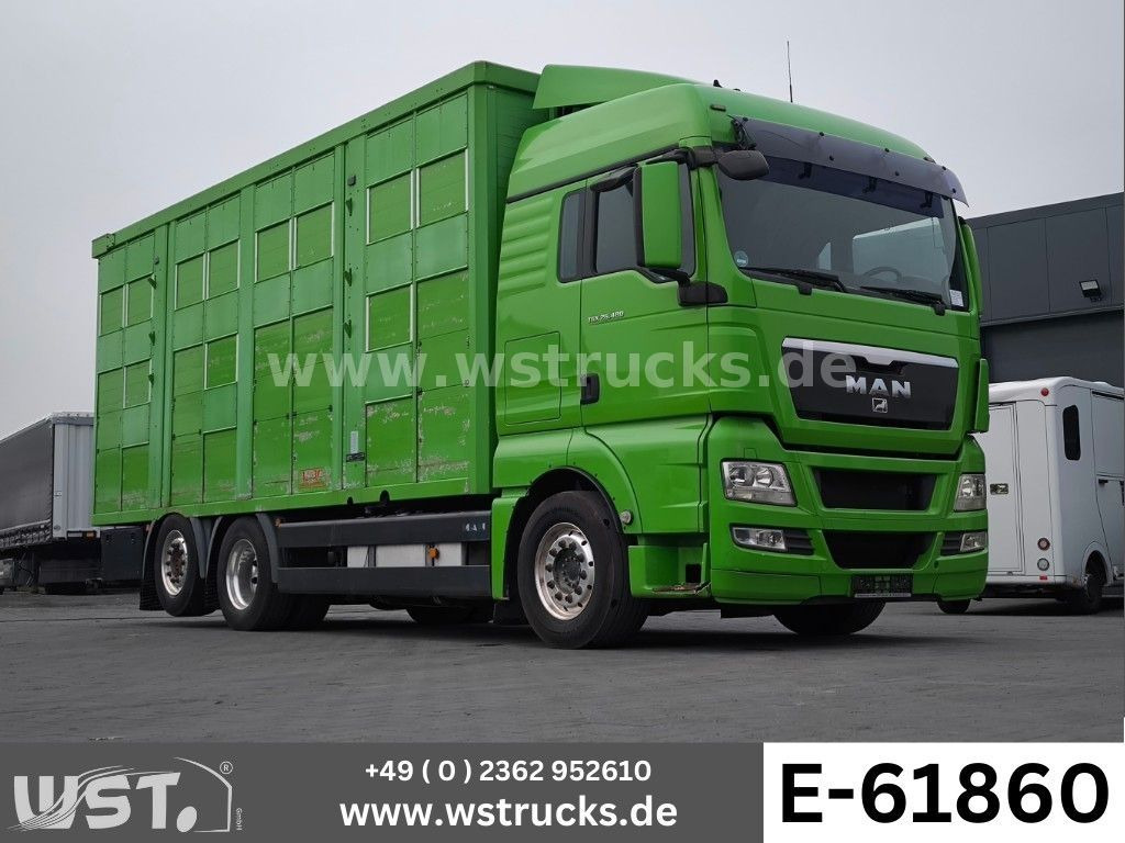MAN TGX 26.480 XL KABA 3 Stock Vollalu - Caminhão para transporte de cavalos: foto 1 MAN TGX 26.480 XL KABA 3 Stock Vollalu - Caminhão para transporte de cavalos: foto 1