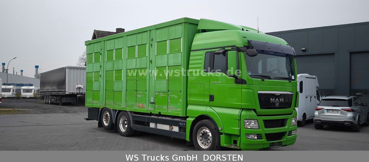 MAN TGX 26.480 XL KABA 3 Stock Vollalu - Caminhão para transporte de cavalos: foto 3 MAN TGX 26.480 XL KABA 3 Stock Vollalu - Caminhão para transporte de cavalos: foto 3
