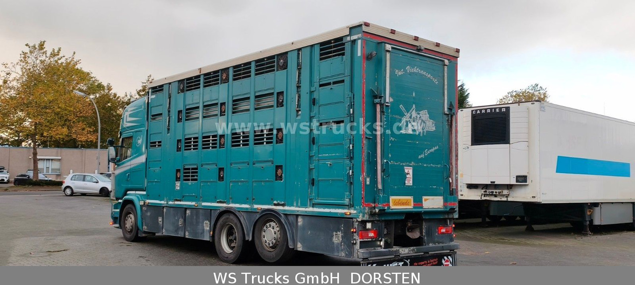 Scania R 490 Topline Menke 4 Stock Hubdach | Retader - Caminhão para transporte de cavalos: foto 4 Scania R 490 Topline Menke 4 Stock Hubdach | Retader - Caminhão para transporte de cavalos: foto 4