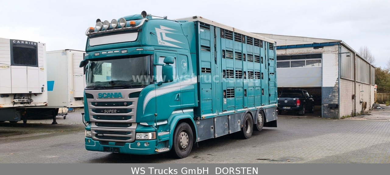 Scania R 490 Topline Menke 4 Stock Hubdach | Retader - Caminhão para transporte de cavalos: foto 1 Scania R 490 Topline Menke 4 Stock Hubdach | Retader - Caminhão para transporte de cavalos: foto 1