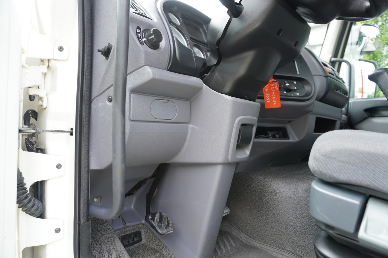 Caminhão multibenne DAF LF 55.220 Skip loader GUIMA PALFINGER M14T: foto 26