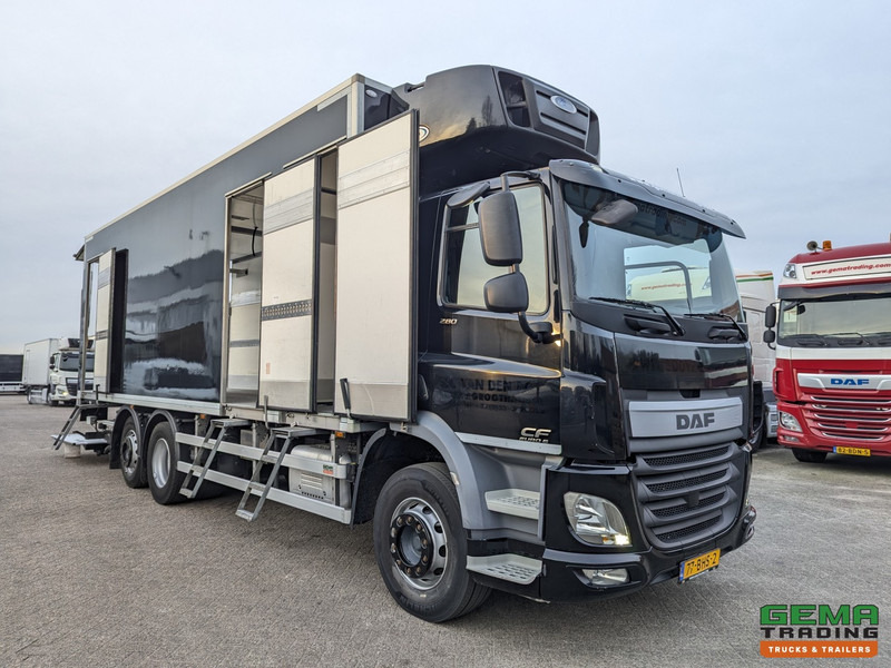 DAF CF 280 FAN 6x2/4 DagCab Euro6 - Koel-VriesBak 7.9m + Carrier Supra 1150MT + Laadklep 2000kg - 10/2025APK - Caminhão frigorífico: foto 3 DAF CF 280 FAN 6x2/4 DagCab Euro6 - Koel-VriesBak 7.9m + Carrier Supra 1150MT + Laadklep 2000kg - 10/2025APK - Caminhão frigorífico: foto 3