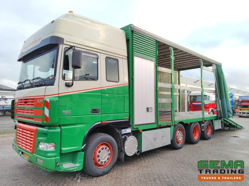 DAF FAK XF95.430 8x2 SuperSpaceCab Euro3 - CurtainSider 7.31m + Ramp 16T - MachineTransporter - 6 Persons (V558) - Caminhão transporte de veículos: foto 1 DAF FAK XF95.430 8x2 SuperSpaceCab Euro3 - CurtainSider 7.31m + Ramp 16T - MachineTransporter - 6 Persons (V558) - Caminhão transporte de veículos: foto 1