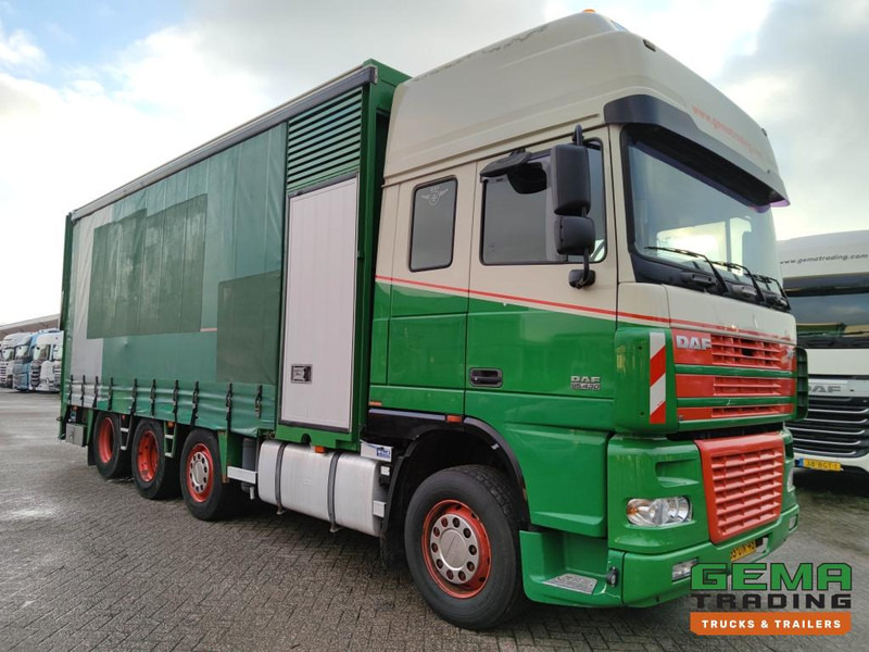 DAF FAK XF95.430 8x2 SuperSpaceCab Euro3 - CurtainSider 7.31m + Ramp 16T - MachineTransporter - 6 Persons (V558) - Caminhão transporte de veículos: foto 3 DAF FAK XF95.430 8x2 SuperSpaceCab Euro3 - CurtainSider 7.31m + Ramp 16T - MachineTransporter - 6 Persons (V558) - Caminhão transporte de veículos: foto 3