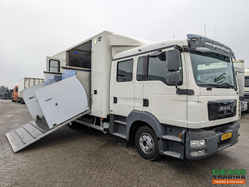 MAN TGL 12.180 4x2 DoKa 7 pers. Euro5 EEV - Paardenwagen 2-Paards - 147.000km! - MARGE - Caminhão para transporte de cavalos: foto 1 MAN TGL 12.180 4x2 DoKa 7 pers. Euro5 EEV - Paardenwagen 2-Paards - 147.000km! - MARGE - Caminhão para transporte de cavalos: foto 1