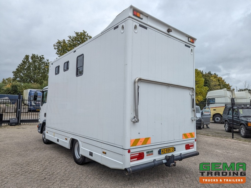 MAN TGL 12.250 4x2 Euro5 EEV RC HorseTruck - 2a3 Paards - 135.000km - MARGE (V821) - Caminhão para transporte de cavalos: foto 4 MAN TGL 12.250 4x2 Euro5 EEV RC HorseTruck - 2a3 Paards - 135.000km - MARGE (V821) - Caminhão para transporte de cavalos: foto 4