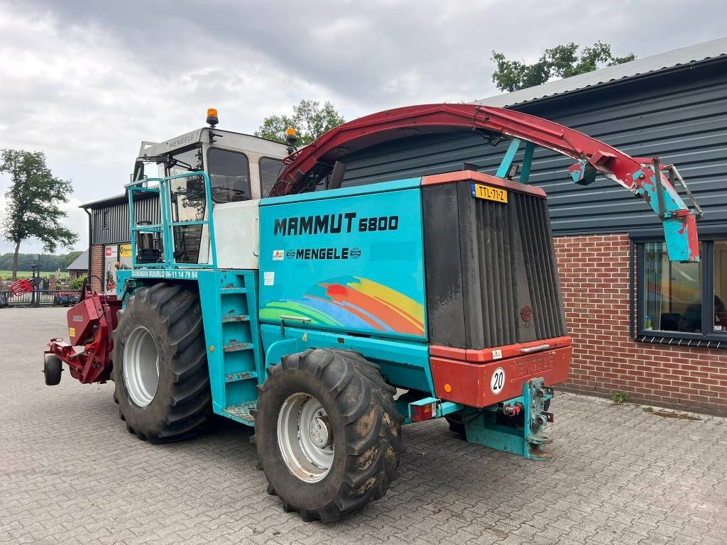 Mengele Mammut 6800 hakselaar - Picadora de forragem automotriz: foto 3 Mengele Mammut 6800 hakselaar - Picadora de forragem automotriz: foto 3