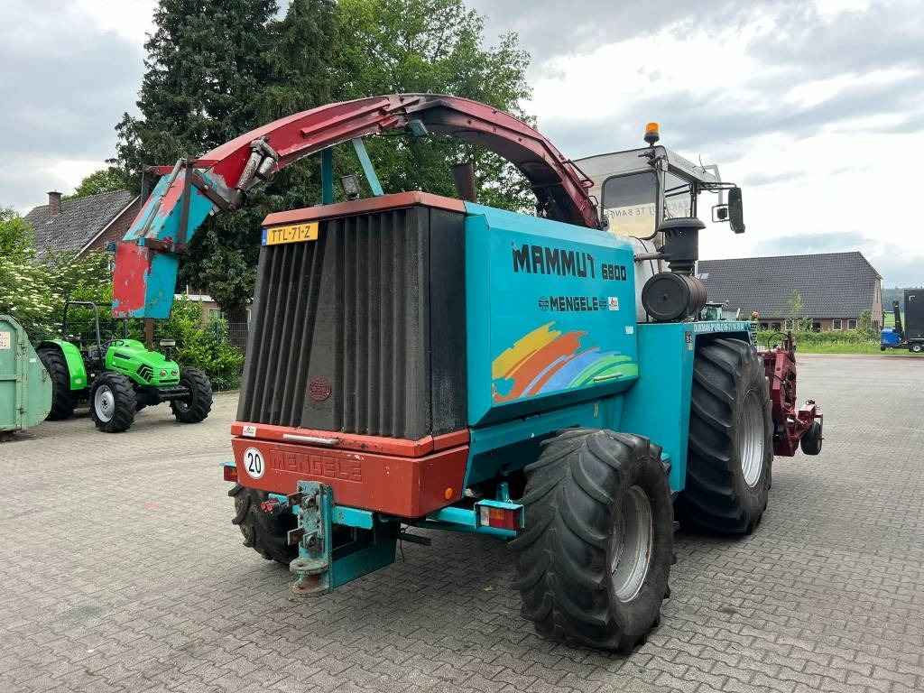 Mengele Mammut 6800 hakselaar - Picadora de forragem automotriz: foto 5 Mengele Mammut 6800 hakselaar - Picadora de forragem automotriz: foto 5