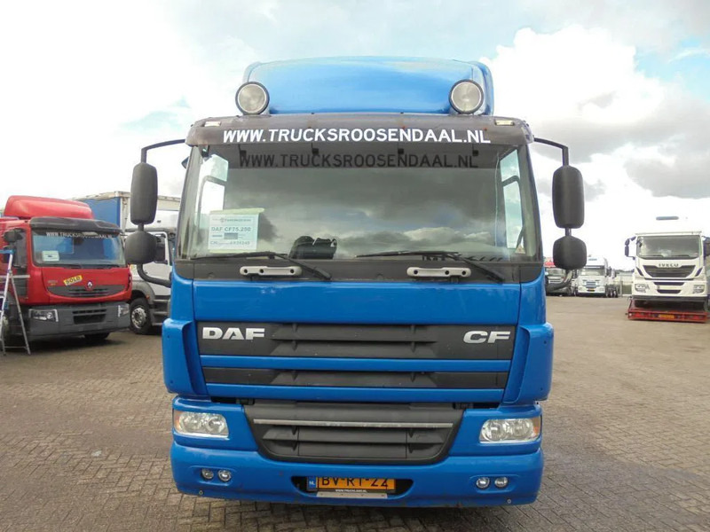 DAF CF 75.250 + Euro 5 - Caminhão chassi: foto 2 DAF CF 75.250 + Euro 5 - Caminhão chassi: foto 2