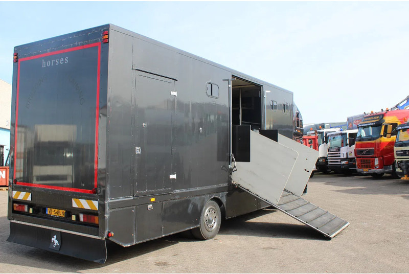 Volvo FL 614 + MANUAL + EURO 0 - Caminhão para transporte de cavalos: foto 4 Volvo FL 614 + MANUAL + EURO 0 - Caminhão para transporte de cavalos: foto 4