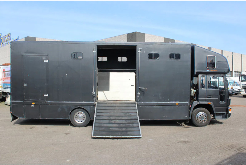 Volvo FL 614 + MANUAL + EURO 0 - Caminhão para transporte de cavalos: foto 2 Volvo FL 614 + MANUAL + EURO 0 - Caminhão para transporte de cavalos: foto 2