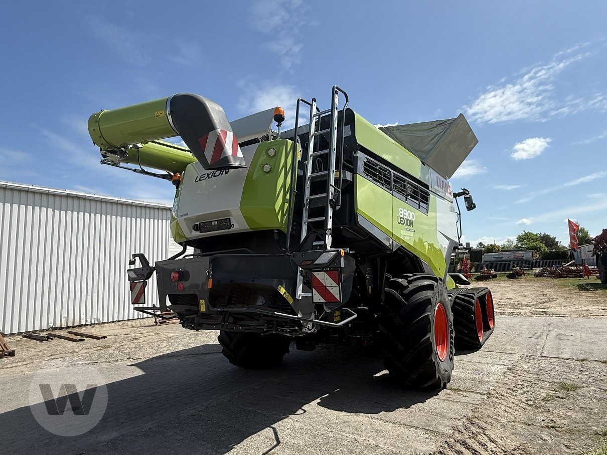Locação de CLAAS Lexion 8900 TT CLAAS Lexion 8900 TT: foto 12
