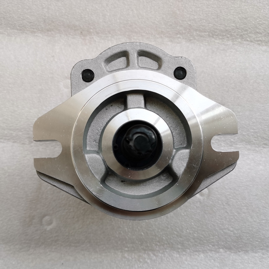 QINGDAO PROMISING Hydraulic Pump CBWA-F314-AL5Φ9 - Bomba hidráulica de Carregadeira de rodas: foto 3 QINGDAO PROMISING Hydraulic Pump CBWA-F314-AL5Φ9 - Bomba hidráulica de Carregadeira de rodas: foto 3