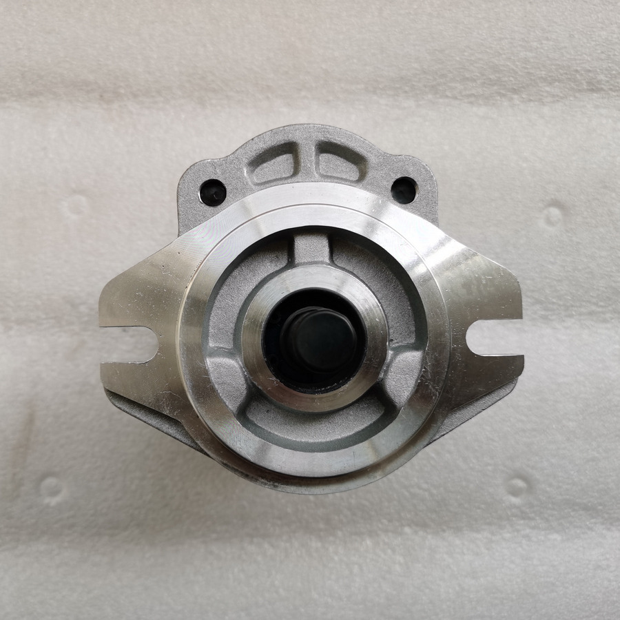 QINGDAO PROMISING Hydraulic Pump CBWA-F318-AT4Φ9 - Bomba hidráulica de Carregadeira de rodas: foto 3 QINGDAO PROMISING Hydraulic Pump CBWA-F318-AT4Φ9 - Bomba hidráulica de Carregadeira de rodas: foto 3