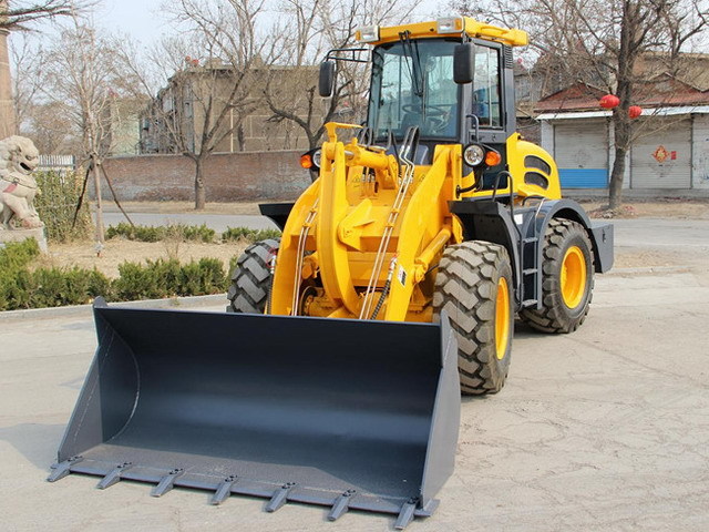 Carregadeira de rodas nuevo Qingdao Promising China 2.0T Front Wheel Loader ZL20F with CE: foto 7