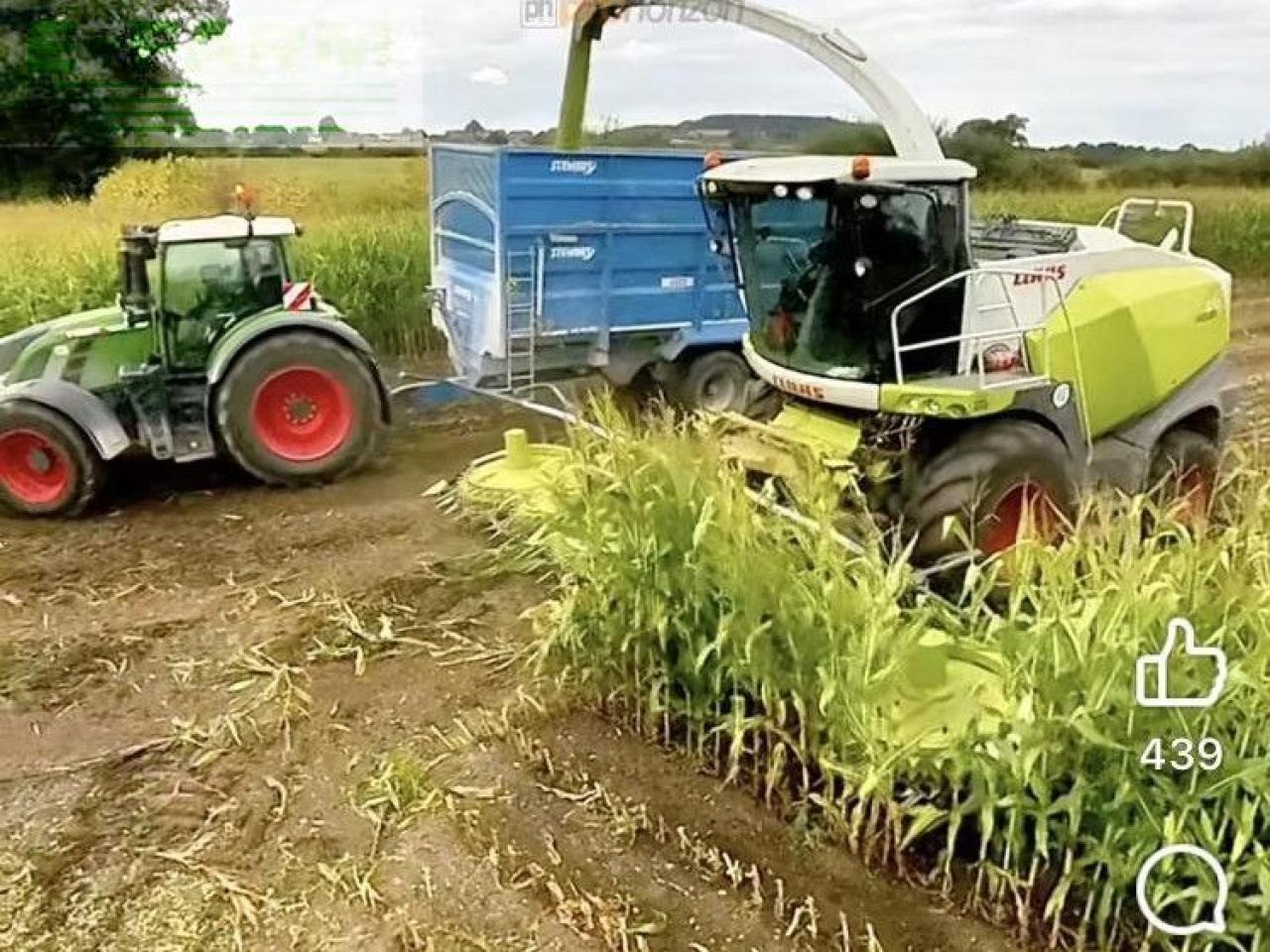 CLAAS JAGUAR 870 4WD - Picadora de forragem automotriz: foto 1 CLAAS JAGUAR 870 4WD - Picadora de forragem automotriz: foto 1