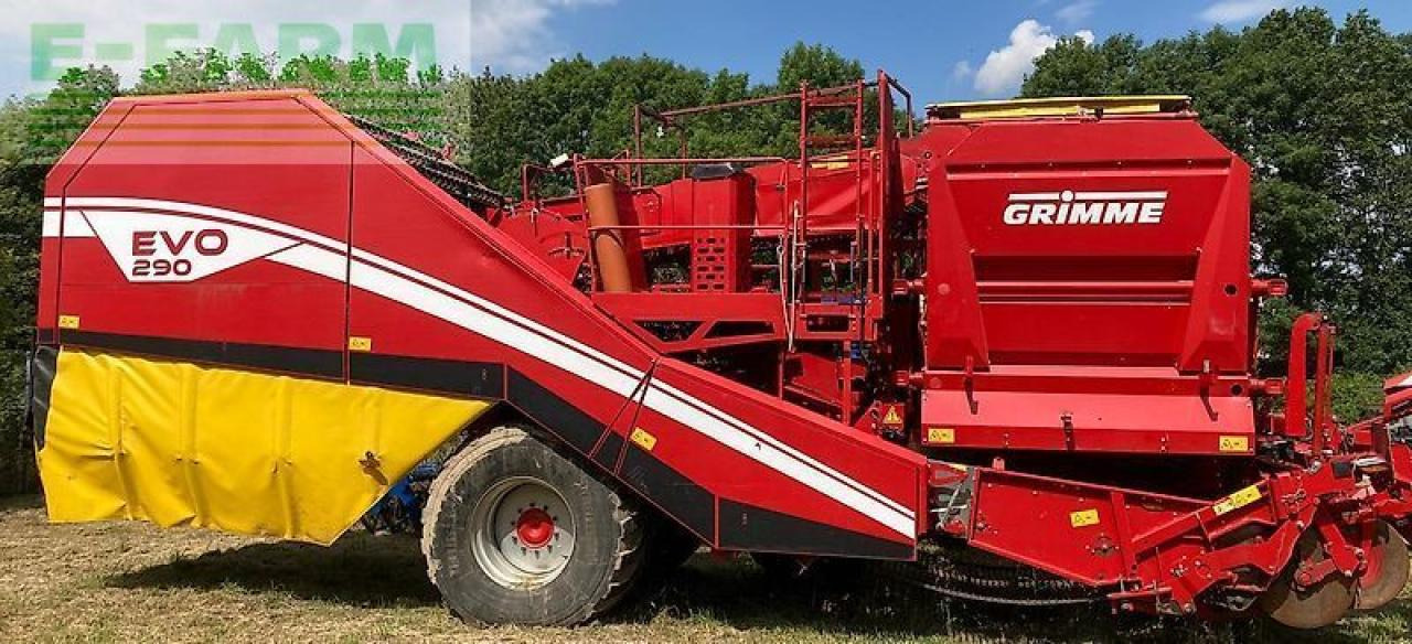 Grimme evo 290 - Colheitadeira de batatas: foto 1 Grimme evo 290 - Colheitadeira de batatas: foto 1