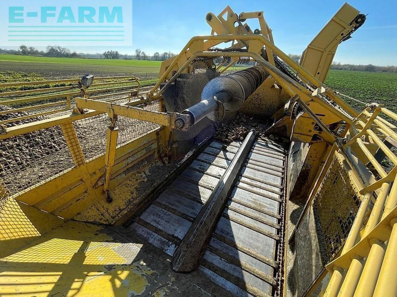 Colheitadeira de beterraba Ropa euro tiger: foto 25