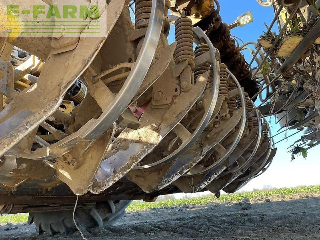 Colheitadeira de beterraba Ropa euro tiger: foto 7