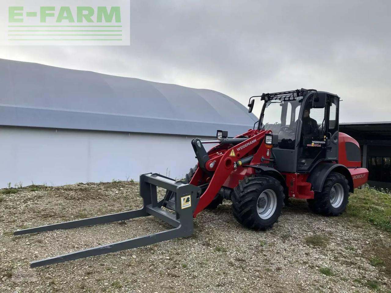 Weidemann 3080lp für geflügelkistengabel sofort verfügbar - Carregadeira de rodas: foto 1 Weidemann 3080lp für geflügelkistengabel sofort verfügbar - Carregadeira de rodas: foto 1