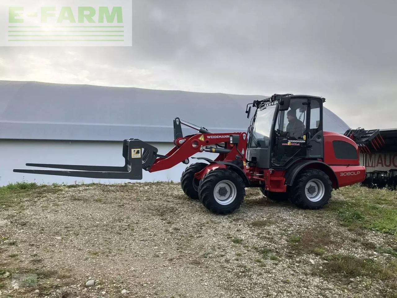 Weidemann 3080lp für geflügelkistengabel sofort verfügbar - Carregadeira de rodas: foto 2 Weidemann 3080lp für geflügelkistengabel sofort verfügbar - Carregadeira de rodas: foto 2