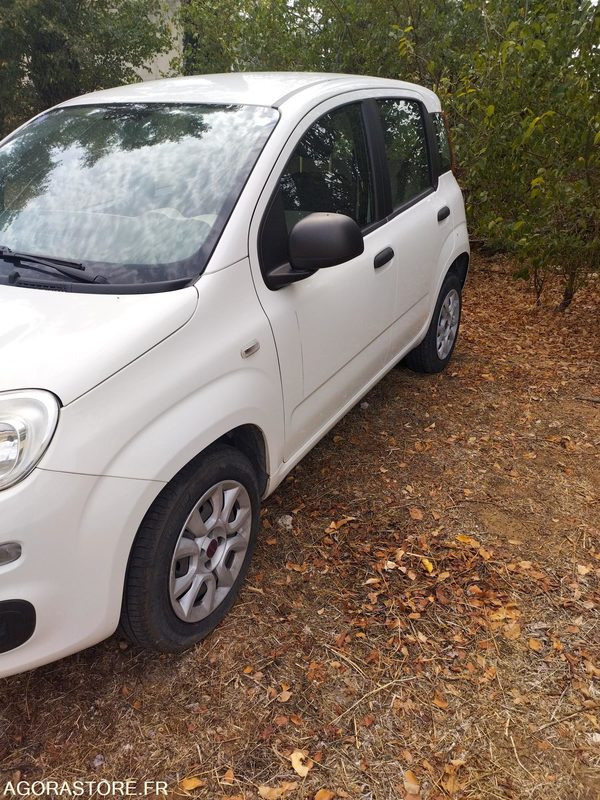 FIAT PANDA - Automóvel: foto 3 FIAT PANDA - Automóvel: foto 3
