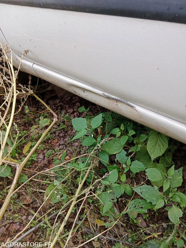 FIAT PANDA - Automóvel: foto 5 FIAT PANDA - Automóvel: foto 5