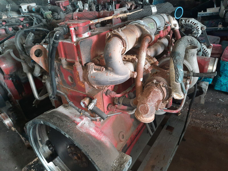 Cummins ISLG320 - Motor: foto 5 Cummins ISLG320 - Motor: foto 5