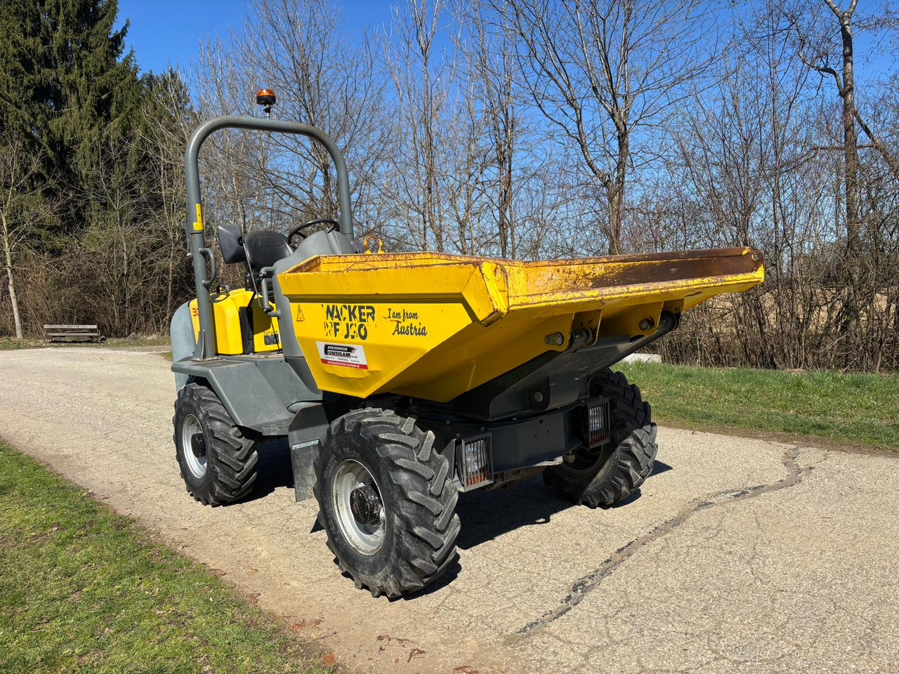 Tombador WACKER NEUSON 3001: foto 7