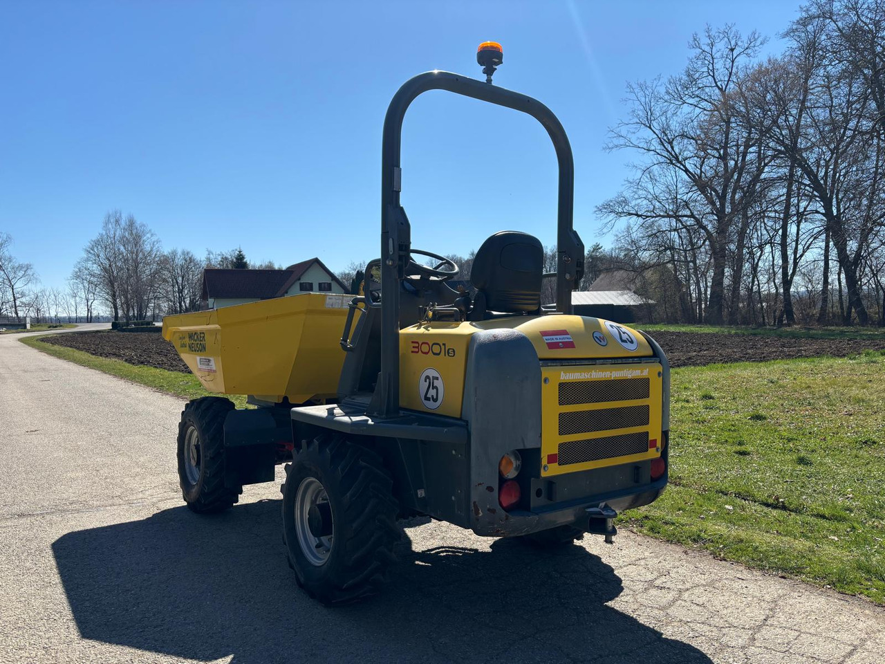 Tombador WACKER NEUSON 3001: foto 8
