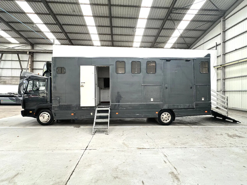 Mercedes-Benz 1117 MOBILE HOME / TRANSPORT DE CHEVAUX /HORSE TRUCK - Caminhão transporte de gado: foto 2 Mercedes-Benz 1117 MOBILE HOME / TRANSPORT DE CHEVAUX /HORSE TRUCK - Caminhão transporte de gado: foto 2
