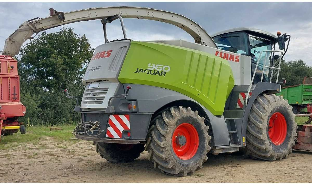 CLAAS - 2011 - 960 - HARVESTER-CHOPPER - Picadora de forragem automotriz: foto 3 CLAAS - 2011 - 960 - HARVESTER-CHOPPER - Picadora de forragem automotriz: foto 3