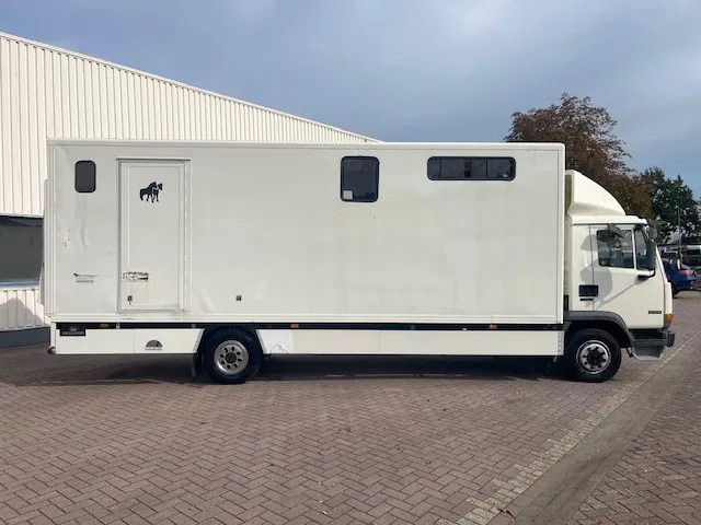 DAF LF 45.130 CLEAN HORSES NL-TRUCK - Caminhão para transporte de cavalos: foto 5 DAF LF 45.130 CLEAN HORSES NL-TRUCK - Caminhão para transporte de cavalos: foto 5