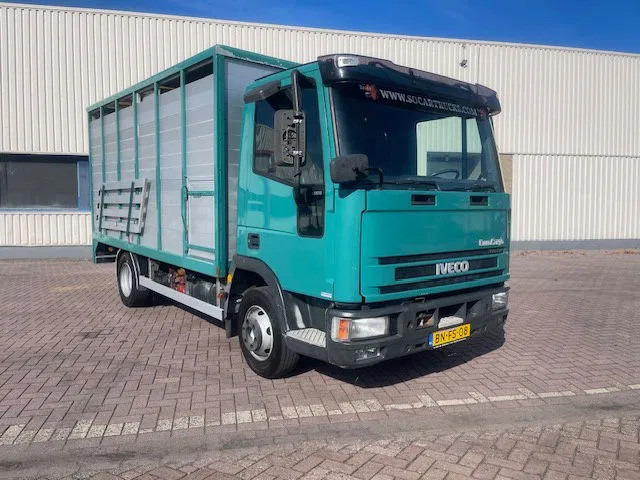 Iveco EuroCargo 65 FULL STEEL / MANUAL-GEAR - Caminhão chassi: foto 1 Iveco EuroCargo 65 FULL STEEL / MANUAL-GEAR - Caminhão chassi: foto 1