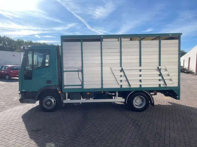 Iveco EuroCargo 65 FULL STEEL / MANUAL-GEAR - Caminhão chassi: foto 4 Iveco EuroCargo 65 FULL STEEL / MANUAL-GEAR - Caminhão chassi: foto 4