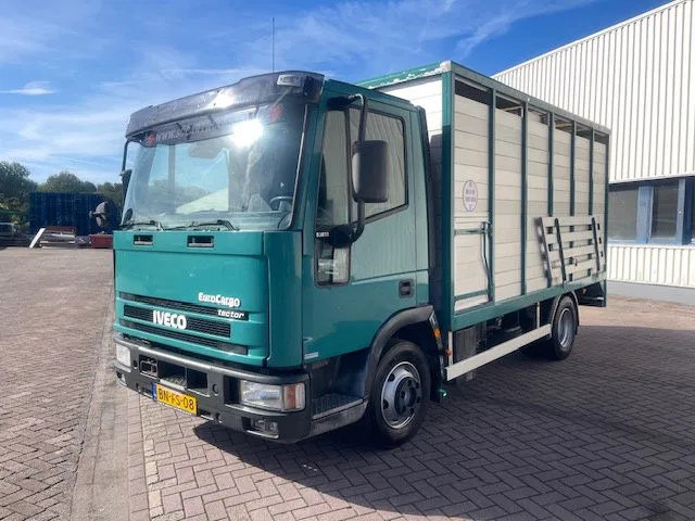 Iveco EuroCargo 65 FULL STEEL / MANUAL-GEAR - Caminhão chassi: foto 3 Iveco EuroCargo 65 FULL STEEL / MANUAL-GEAR - Caminhão chassi: foto 3