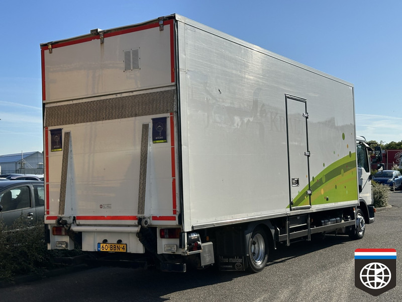 MAN TGL 8 180 - THERMOKING - THEO MULDER FLOWER TRUCK - Caminhão frigorífico: foto 5 MAN TGL 8 180 - THERMOKING - THEO MULDER FLOWER TRUCK - Caminhão frigorífico: foto 5