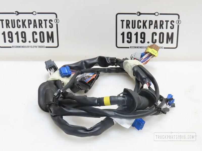 Scania 2495452 Kabelboom deur Li. Scania - Cables/ Wire harness de Caminhão: foto 1 Scania 2495452 Kabelboom deur Li. Scania - Cables/ Wire harness de Caminhão: foto 1