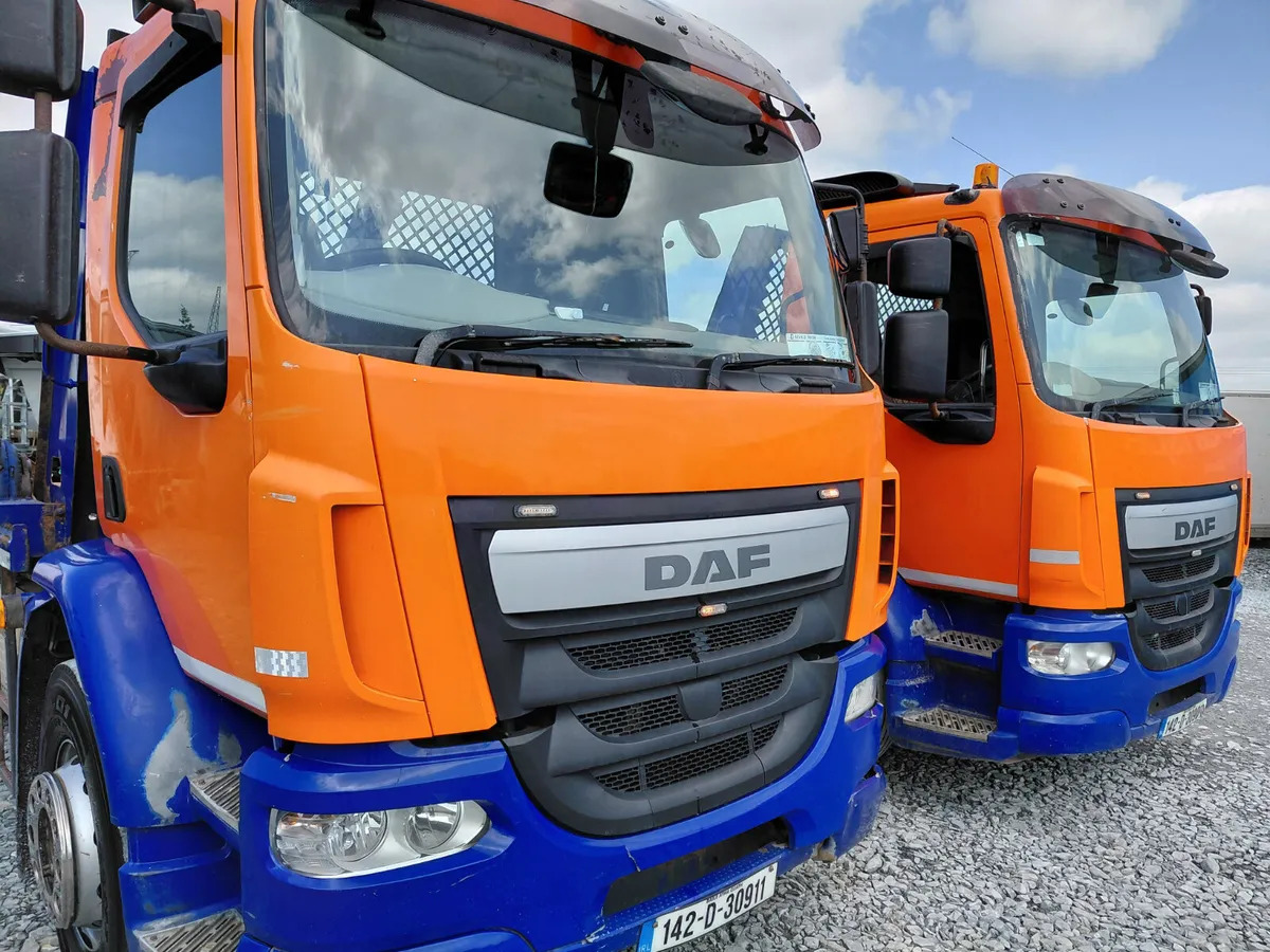 Caminhão multibenne 2014 DAF LF Skip Loader X 2: foto 19