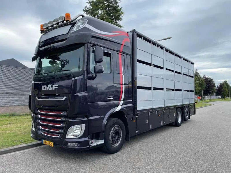 DAF XF 460 - Animal transporter - Caminhão transporte de gado: foto 1 DAF XF 460 - Animal transporter - Caminhão transporte de gado: foto 1