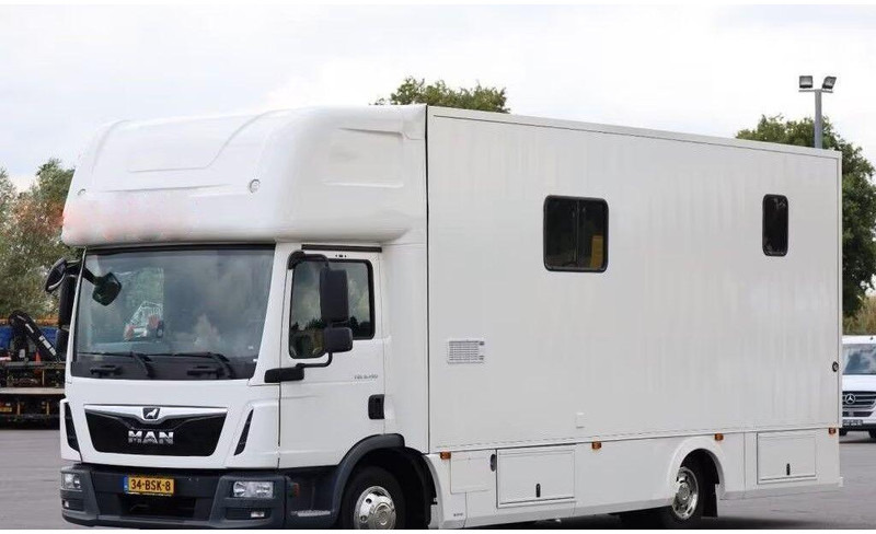 MAN TGL 8.190 - - Caminhão para transporte de cavalos: foto 1 MAN TGL 8.190 - - Caminhão para transporte de cavalos: foto 1