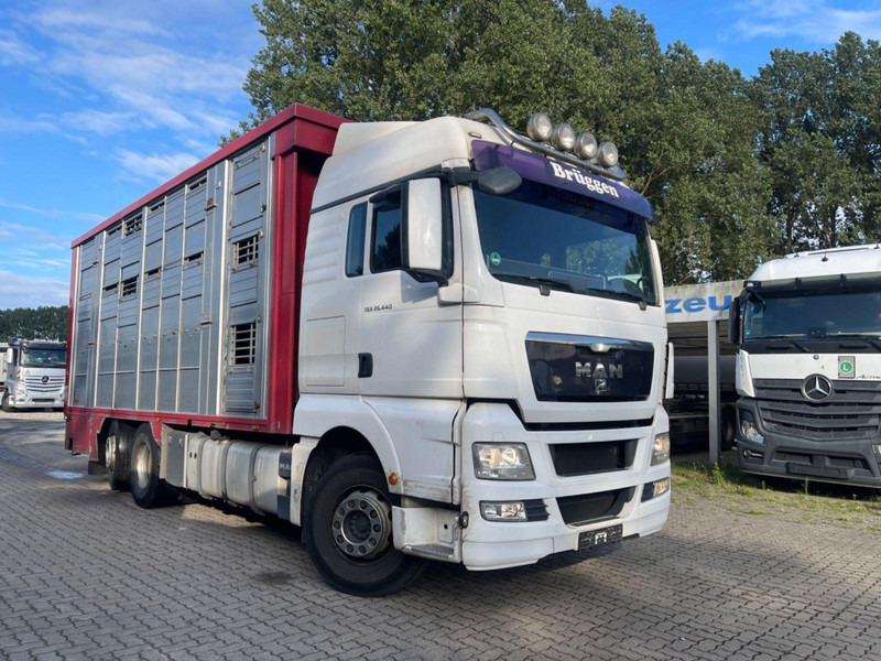 MAN TGX 26.400 6x2-2 LL 3 Stück Finkl Hubdach - Caminhão transporte de gado: foto 5 MAN TGX 26.400 6x2-2 LL 3 Stück Finkl Hubdach - Caminhão transporte de gado: foto 5