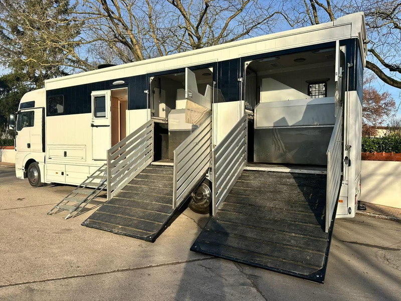 MAN TGX 26.440 - Horse transporter - Caminhão para transporte de cavalos: foto 5 MAN TGX 26.440 - Horse transporter - Caminhão para transporte de cavalos: foto 5