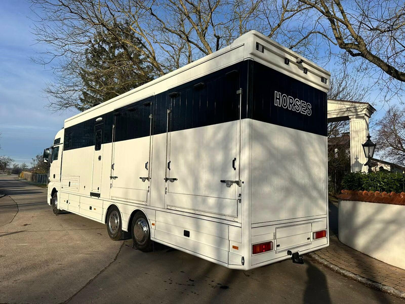 MAN TGX 26.440 - Horse transporter - Caminhão para transporte de cavalos: foto 4 MAN TGX 26.440 - Horse transporter - Caminhão para transporte de cavalos: foto 4