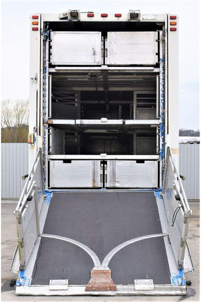 Scania R 500 - Caminhão transporte de gado: foto 4 Scania R 500 - Caminhão transporte de gado: foto 4